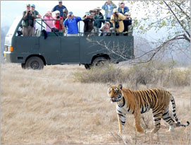 Rajasthan Wildlife Tours